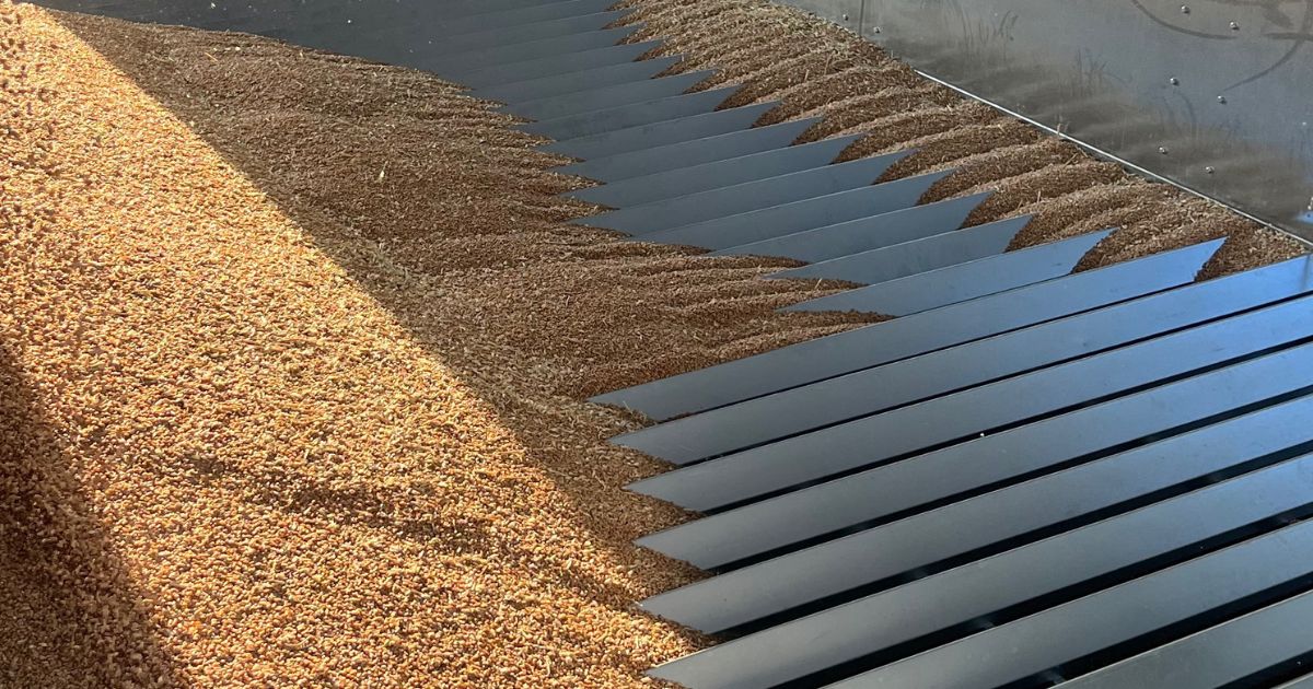 Ile płacono za krajowe zboża w połowie czerwca? – MRiRW