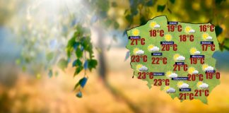 We wtorek na południu Podlasia najchłodniejsza noc tej jesieni [POGODA]