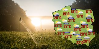 Sobotni poranek miejscami przyniesie przymrozki [POGODA]