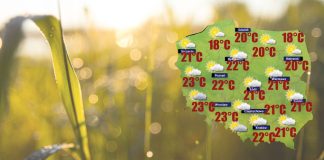 Za tydzień jest szansa na kilka deszczowych dni [POGODA]
