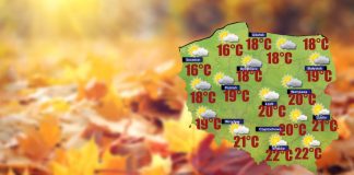 W czwartek świcie nawet 15 stopni Celsjusza na zachodzie Polski [POGODA]