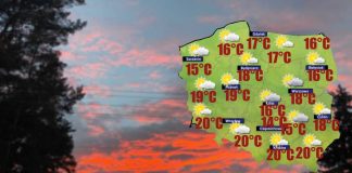W piątek o poranku w rejonie Radomia i Kielc bardzo gęste mgły [POGODA]