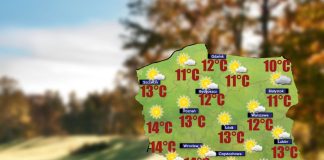 Czwartkowy poranek miejscami na południu i w centrum przyniesie niewielkie przygruntowe przymrozki [POGODA]