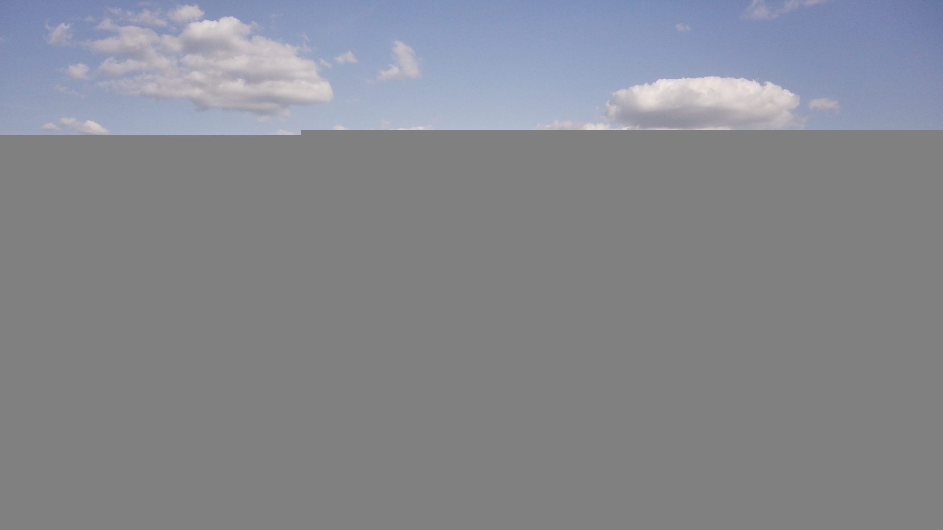 Struktura zasiewów w Polsce w 2022 roku. Zaskakujące wyniki!