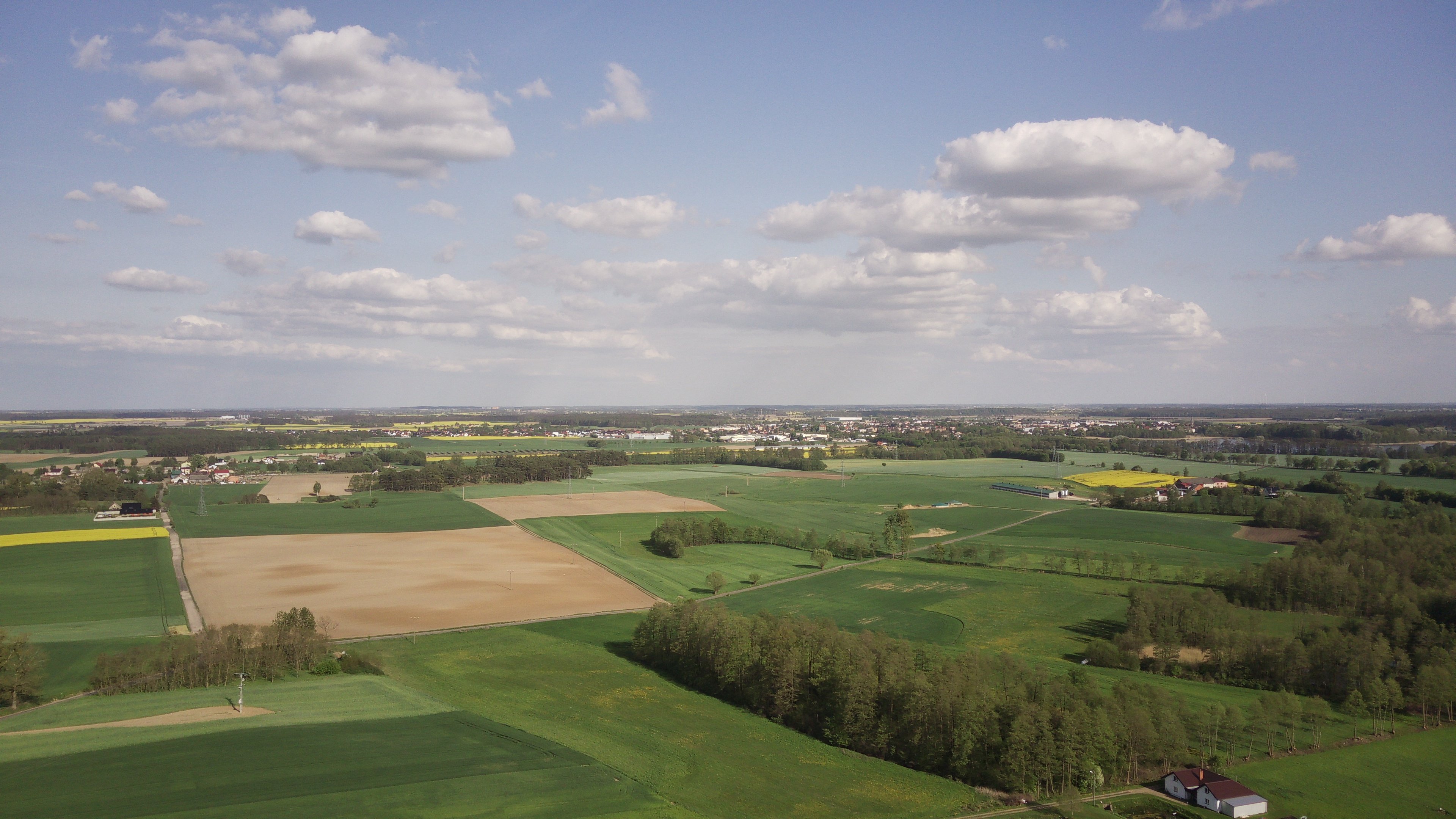 Nowe władze Polskiej Federacji Rolnej wybrane – ambitny plan działania do 2026 roku