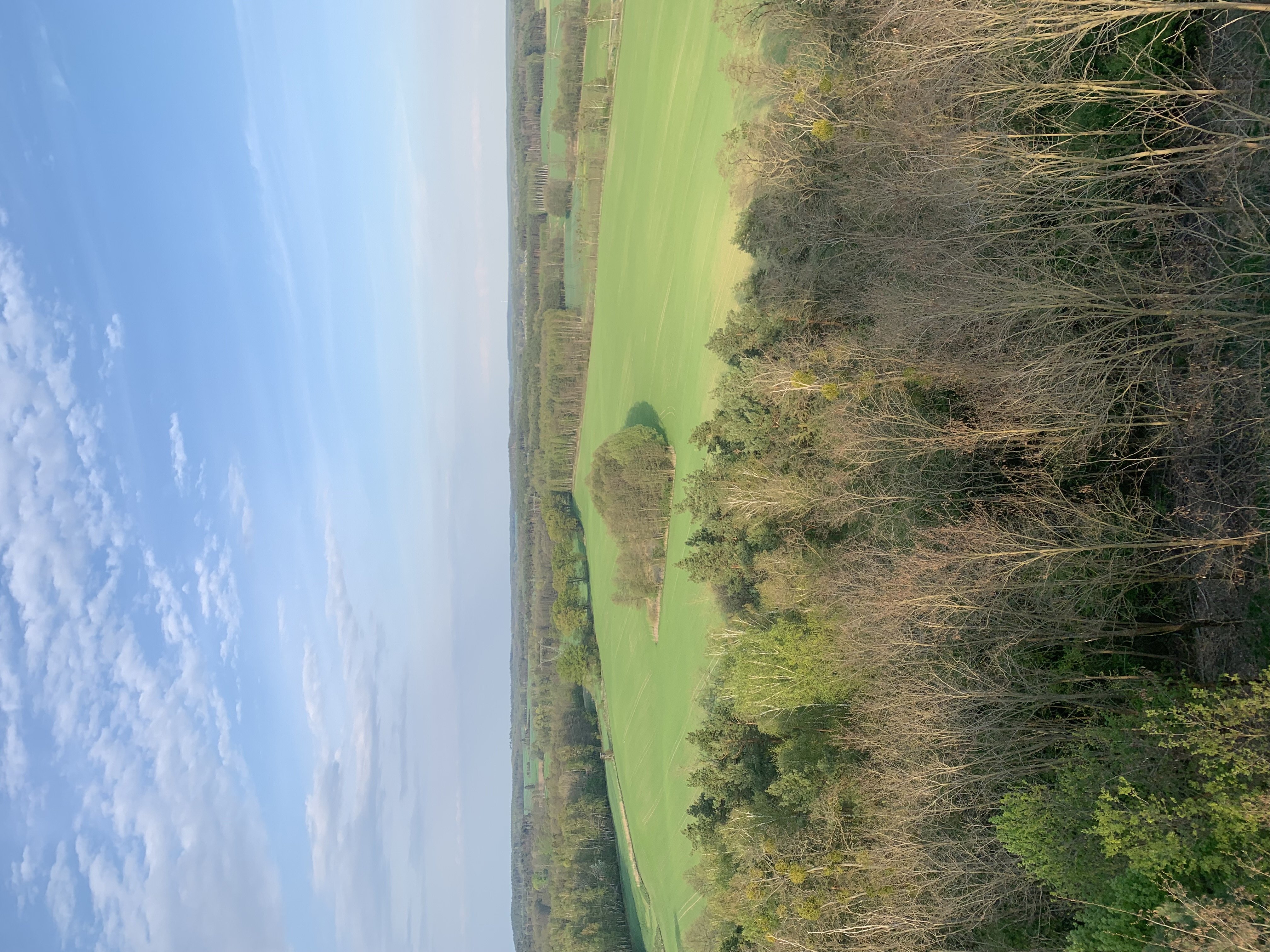 Cenne zadrzewienia śródpolne. Jaki jest ich wpływ na rolnictwo?