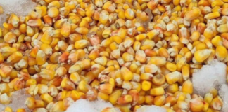 Przejazd protestacyjny ZTR w Hrubieszowie