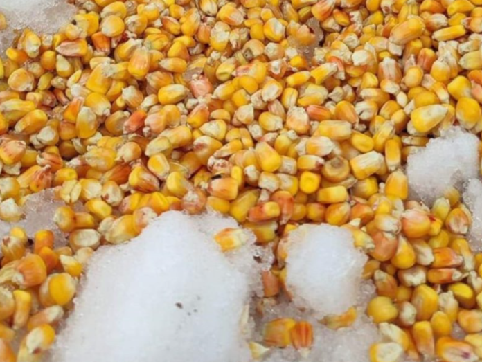 Przejazd protestacyjny ZTR w Hrubieszowie