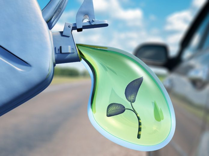 biopaliwa_rzepak_Niemcy