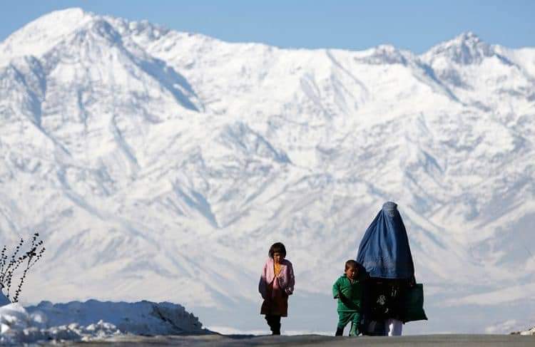 Ekstremalna zima w Afganistanie. Zmarło ponad 200 000 zwierząt gospodarskich