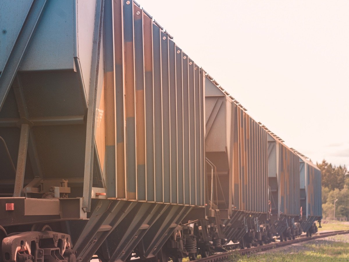 Rzepak z Ukrainy – eksport załamał się