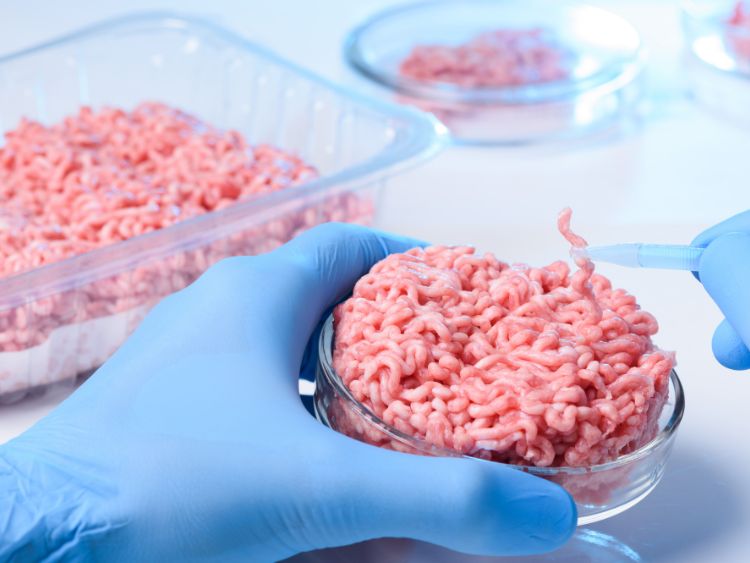 W Polsce będzie hodowane mięso z komórek. Zjemy je szybciej  niż nam się wydaje?