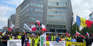 Bilans zmian w rolnictwie UE na rok 2026: Między ustępstwami a walką o przetrwanie bilans zmian