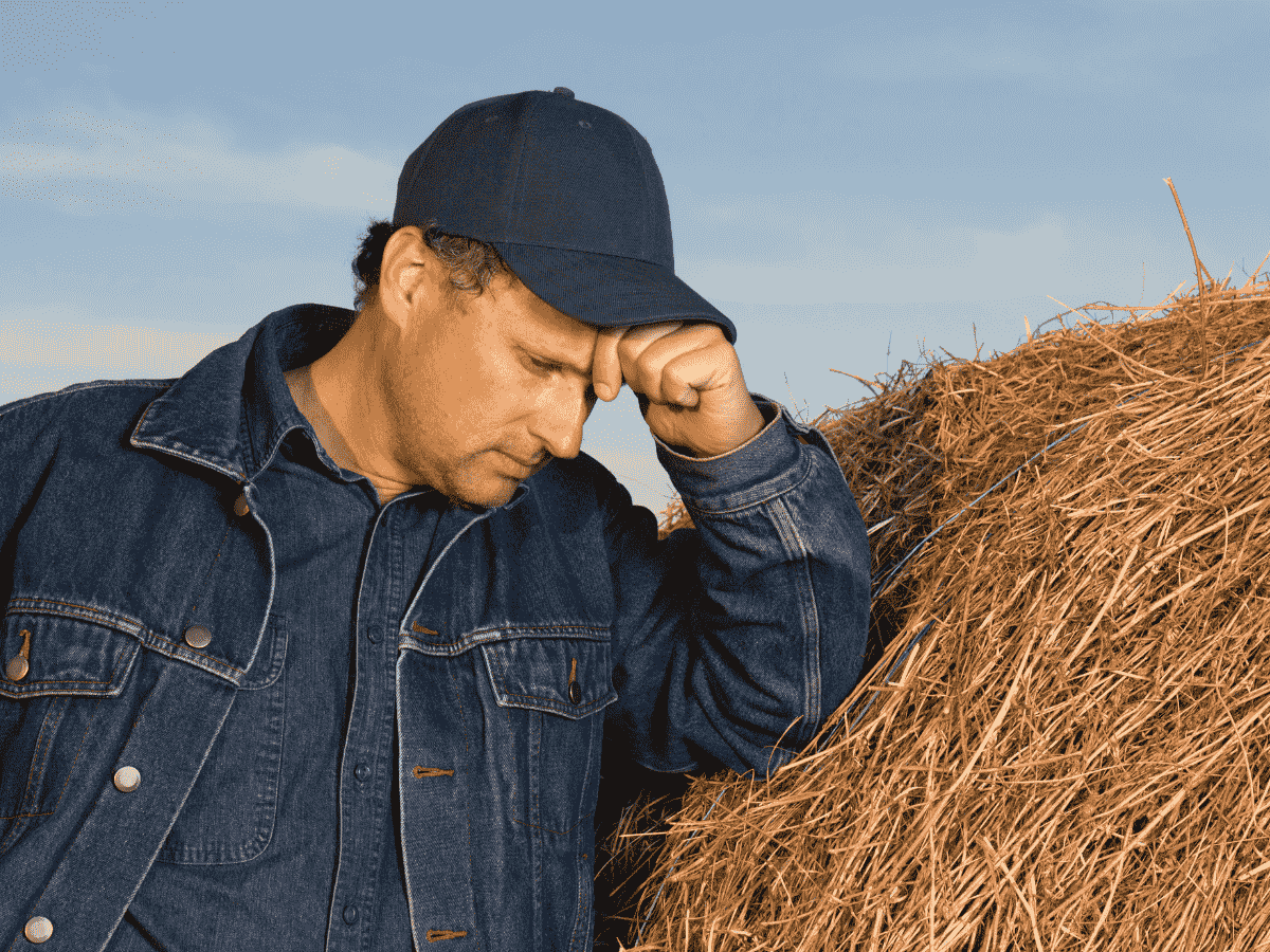 Rolnicy też mają prawo być zmęczeni. O zdrowiu psychicznym na wsi