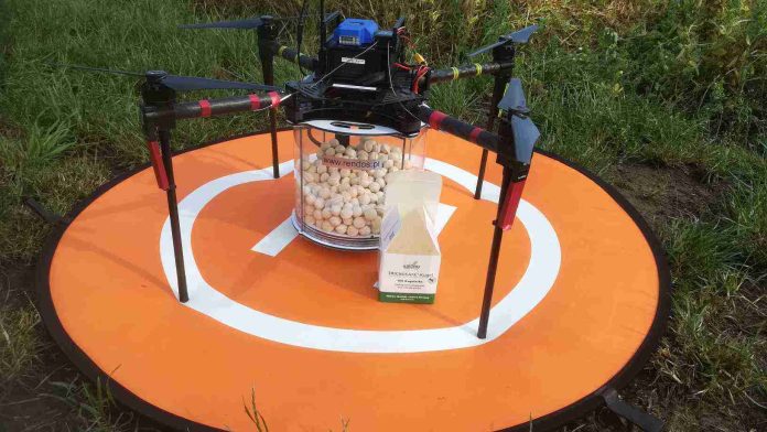 Kruszynek aplikowany za pomocą drona.