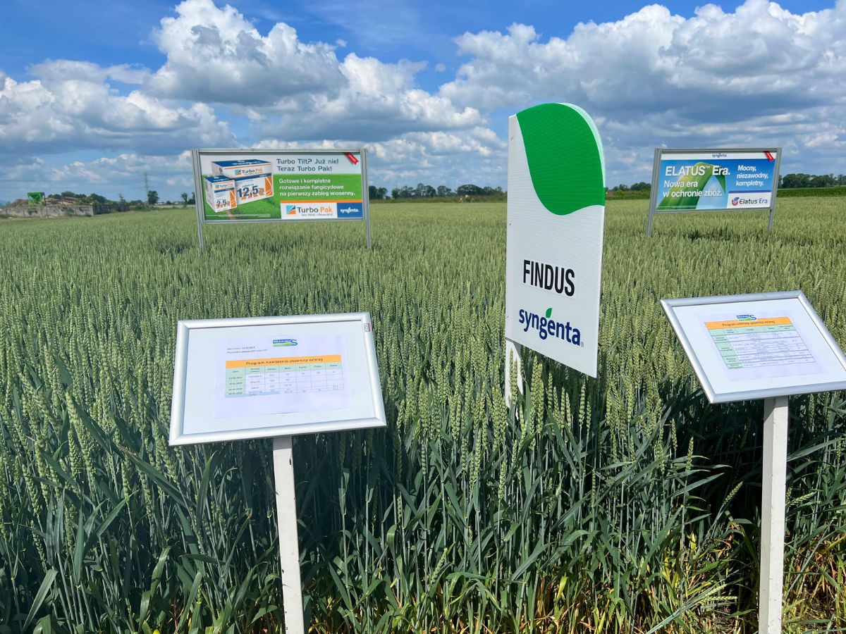 Nowość od Syngenta: ACTIV by Aphea.Bio - nawóz mikrobiologiczny do ...