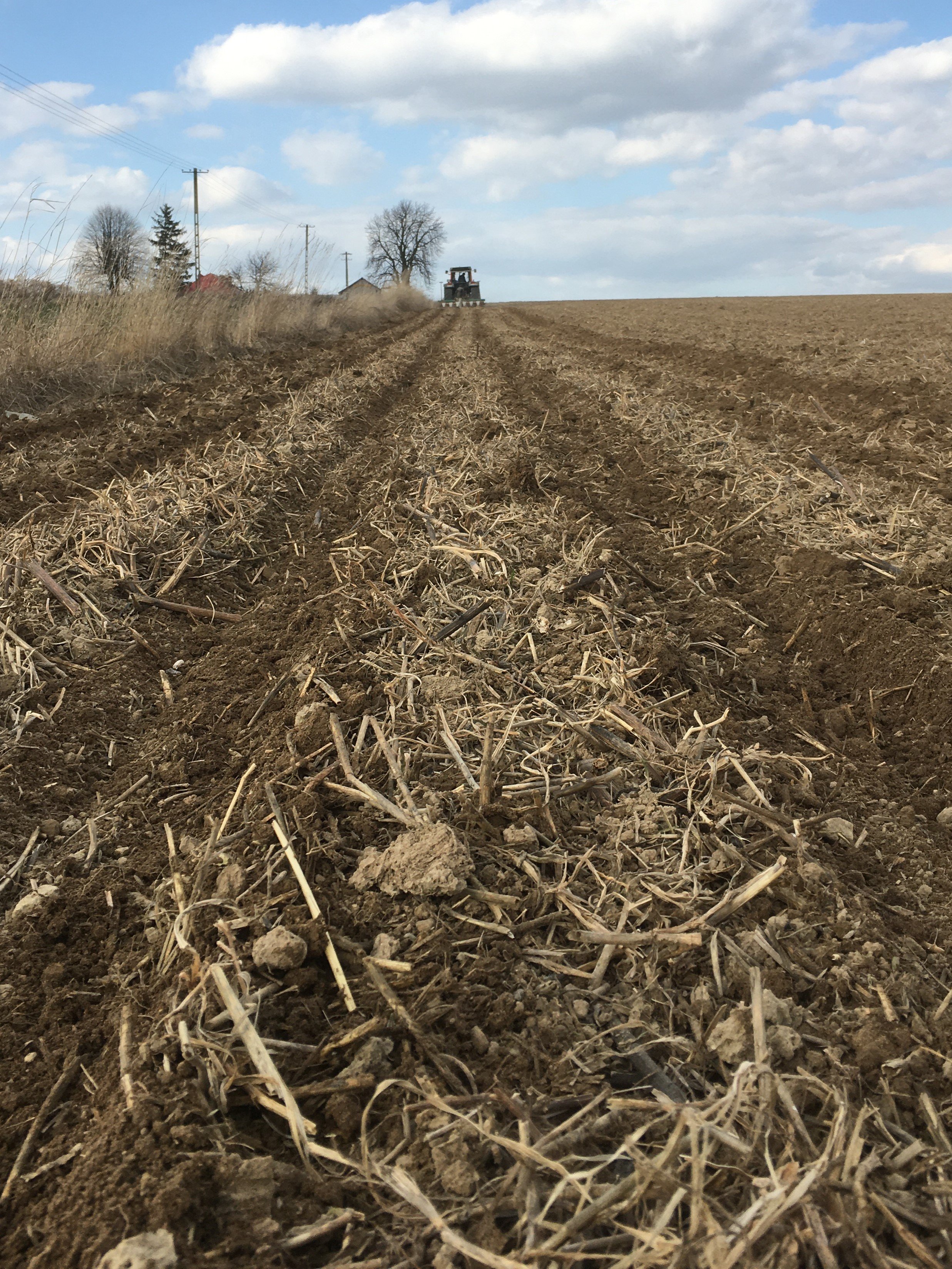 5 sposobów na międzyplon – jaką decyzję podjąć?