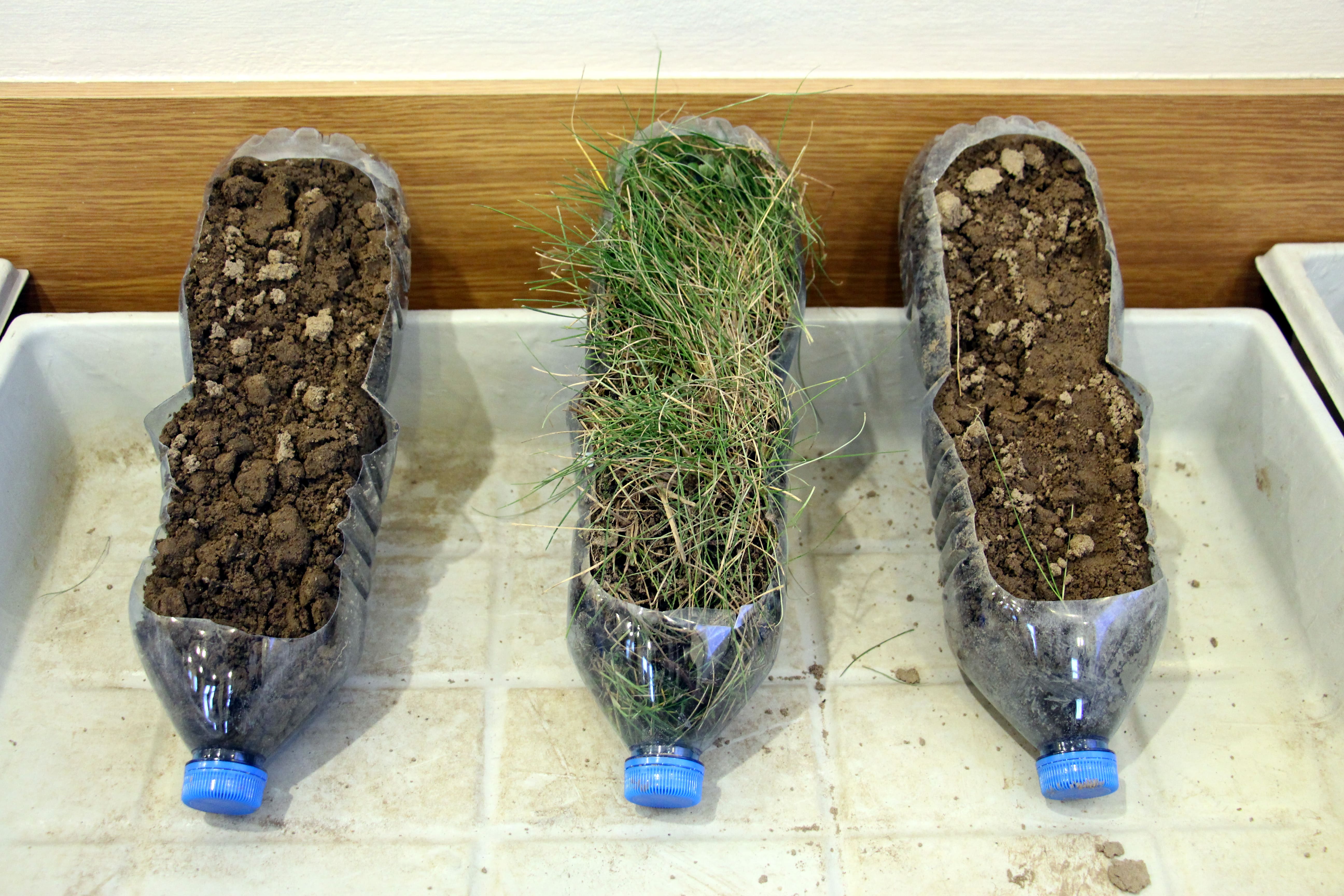 Rolnictwo regeneratywne – od czego rozpocząć rewolucję w rolnictwie?