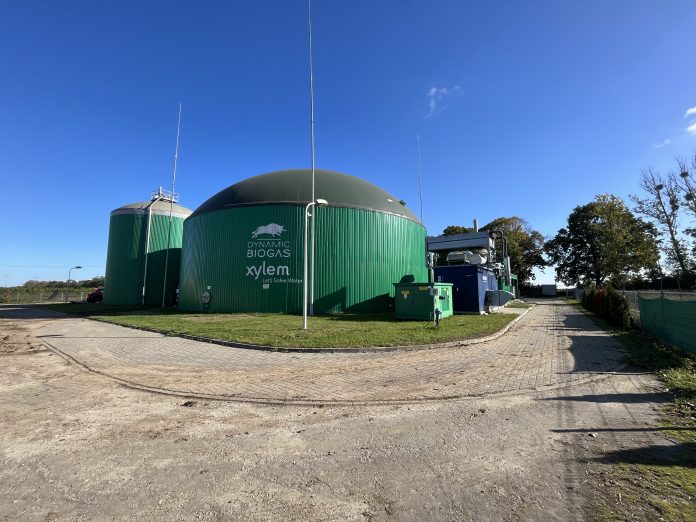 Sorgo na biogaz