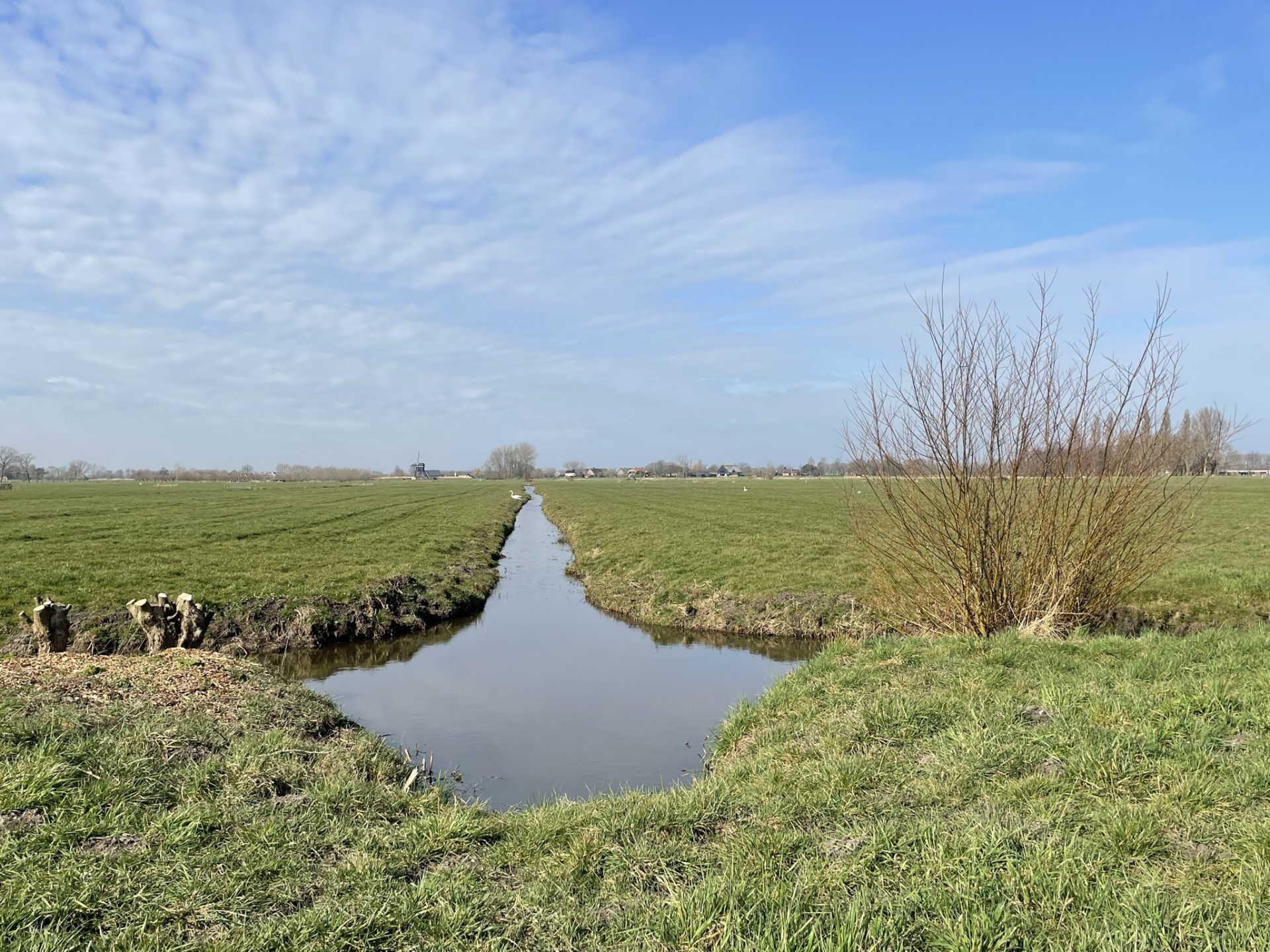 Kto powinien czyścić rowy melioracyjne? Czyszczenie rowów – obowiązki i formalności