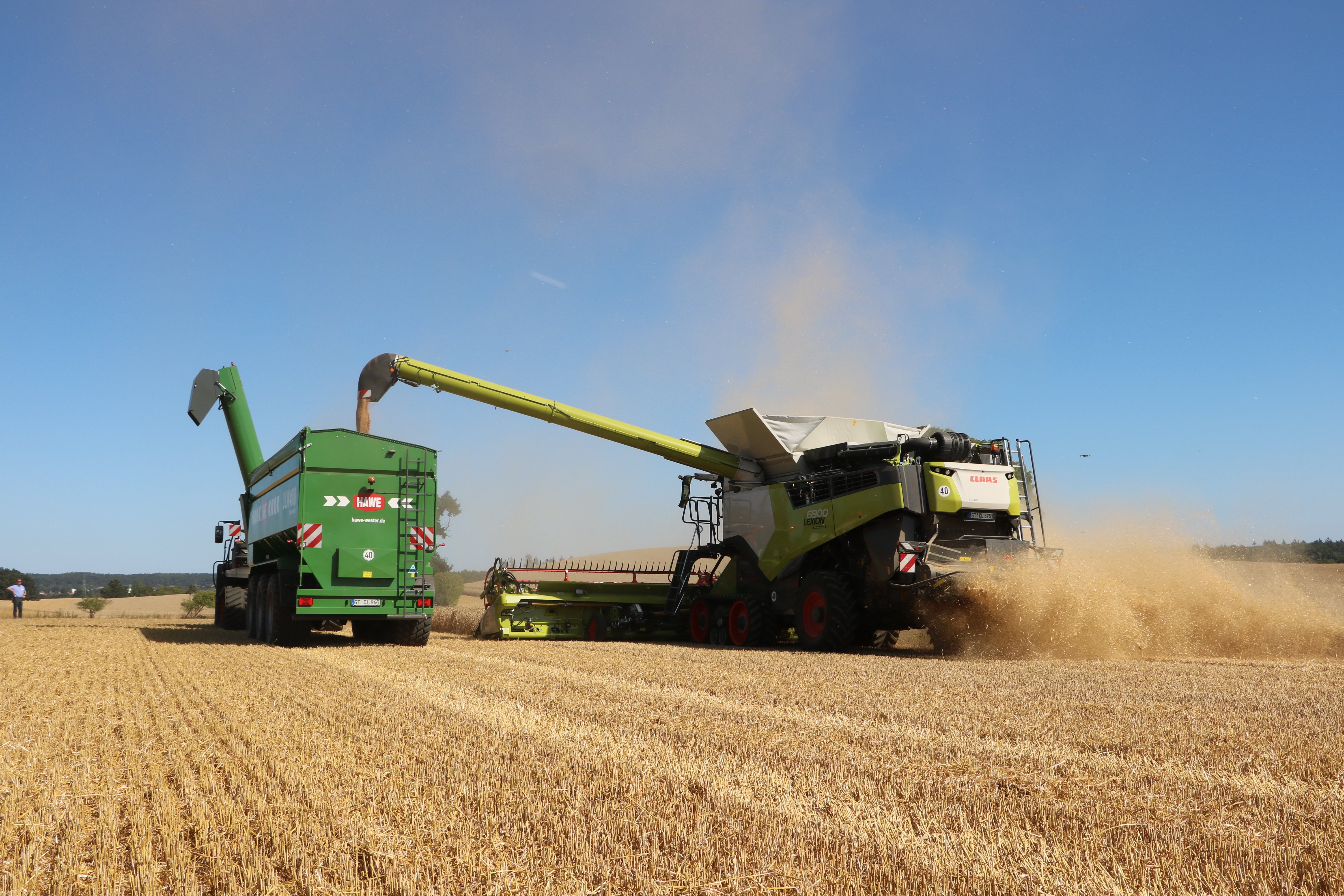 Czy owies wraca do łask? Duże zainteresowanie w 2024 roku