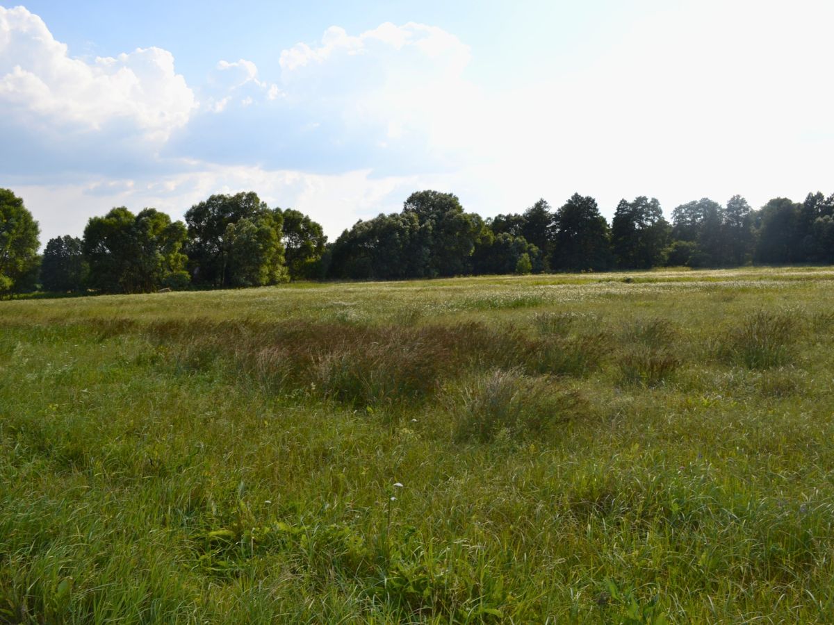 KRIR interweniuje w sprawie trwałych użytków zielonych. MRiRW wyjaśnia, jak je rozumieć