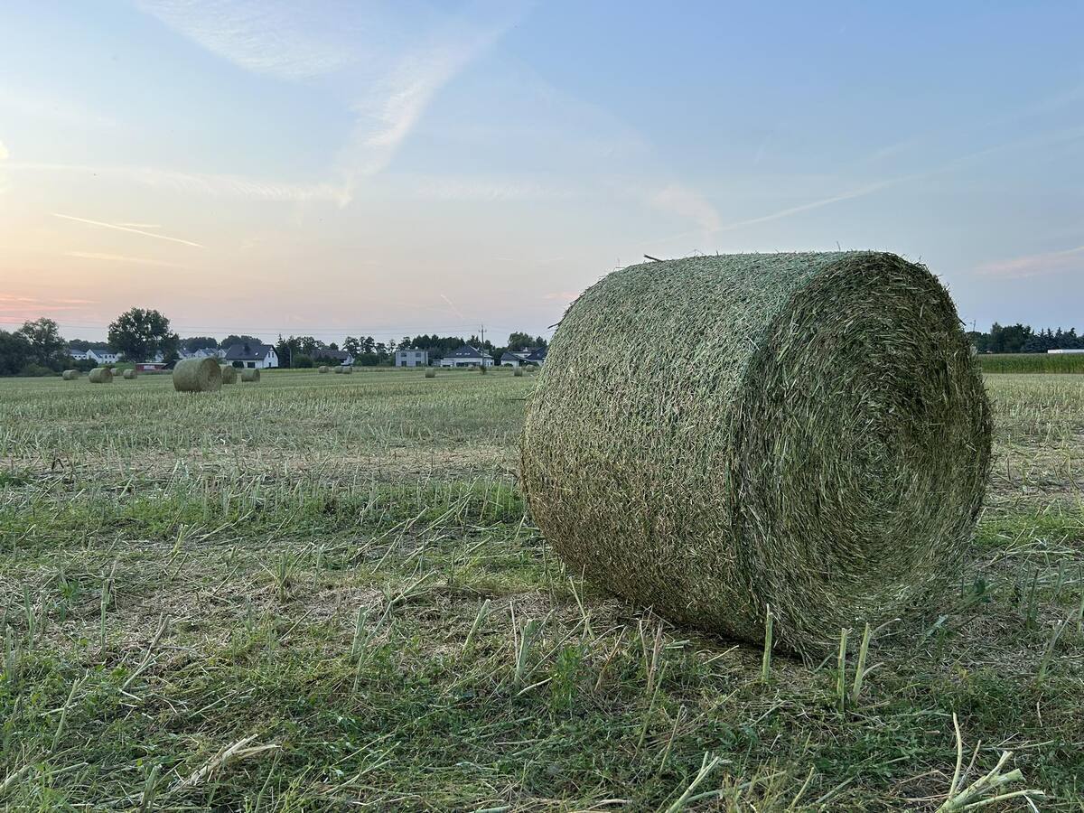 Usuwanie folii rolniczych 2025 – będą nowe rozwiązania? Wszystko co musisz wiedzieć!