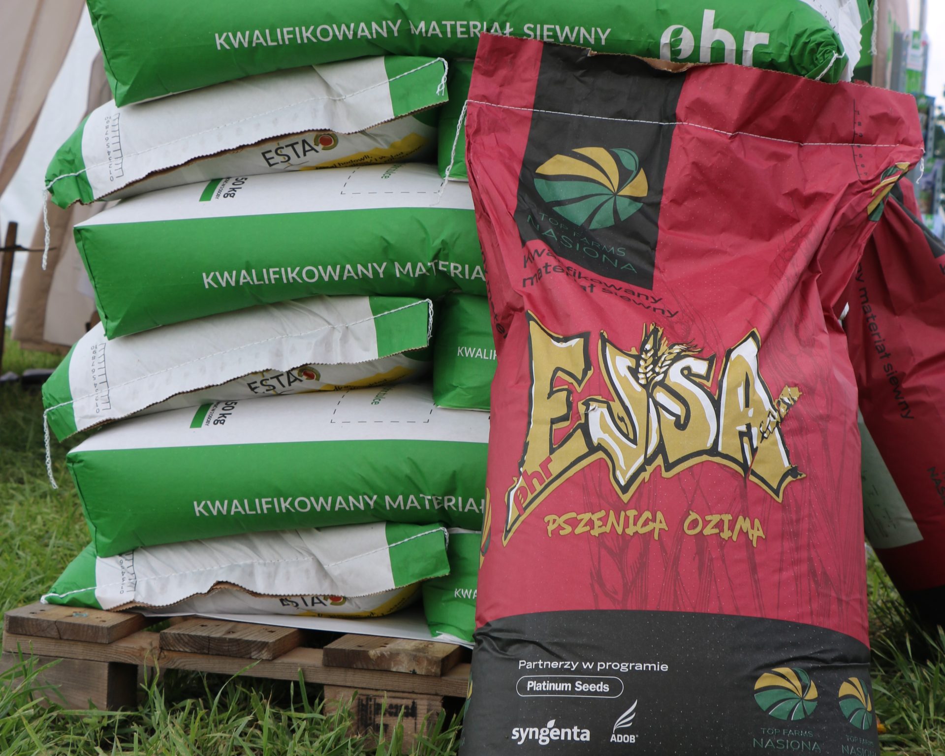 Dlaczego warto postawić na kwalifikowany materiał siewny? Stawki dopłat w 2024 roku