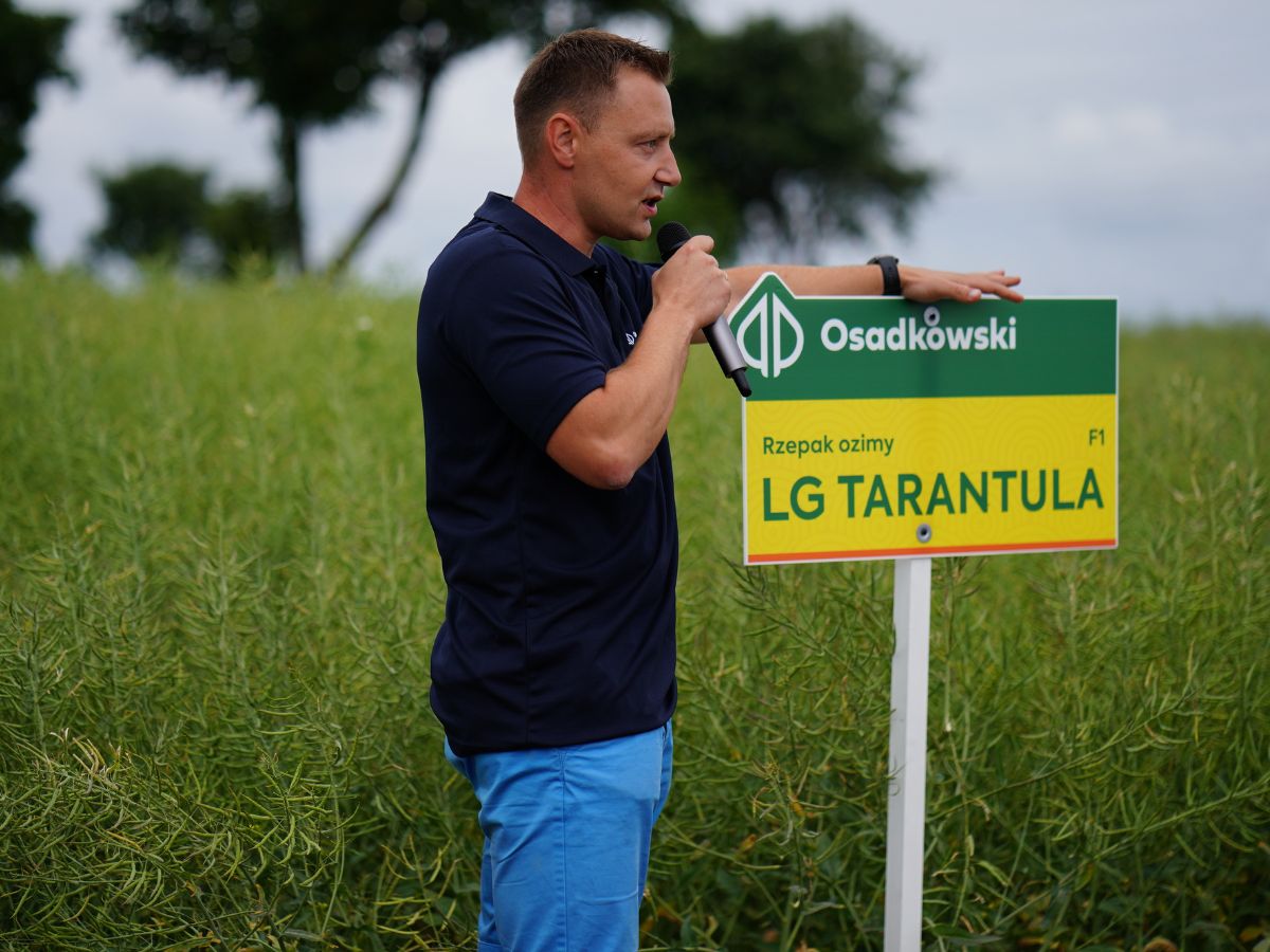 Jak poradzić sobie z kiłą kapusty?