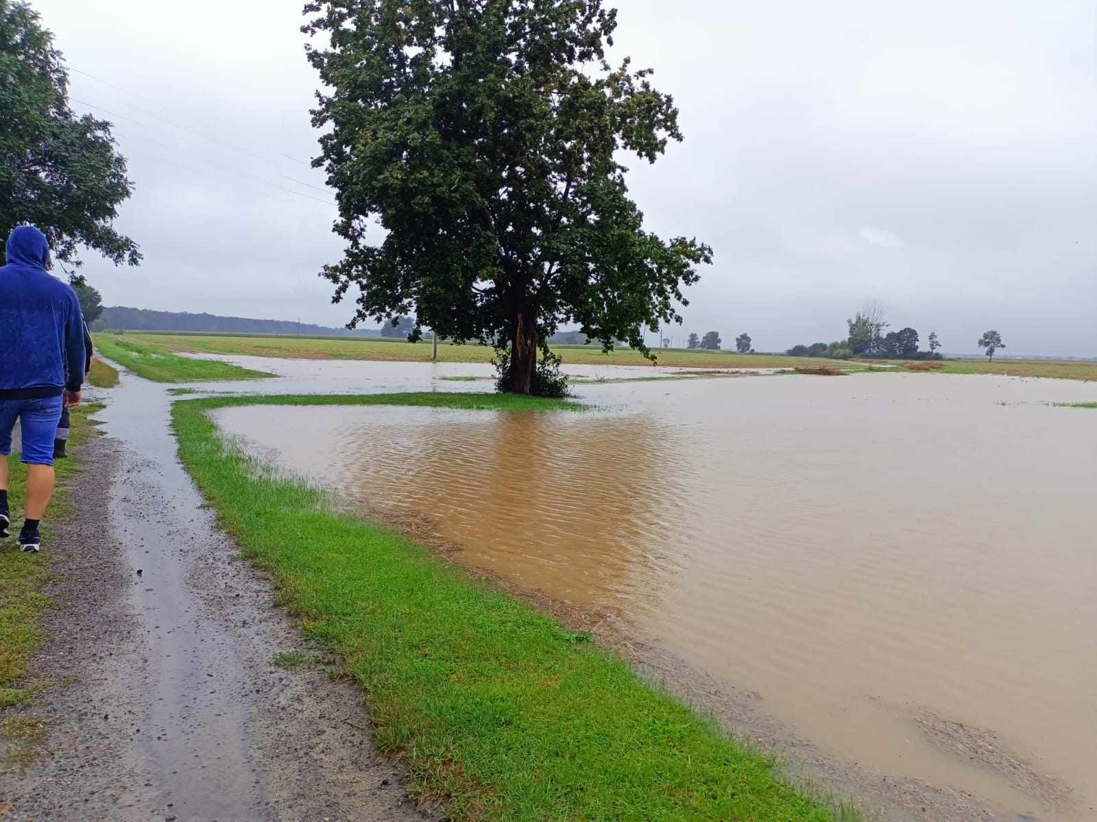 Totalny paraliż przez ulewę: Ponad 120 interwencji strażaków w Ostrowie i okolicach [WIDEO]