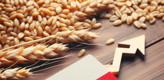 Zbiory zbóż w Polsce