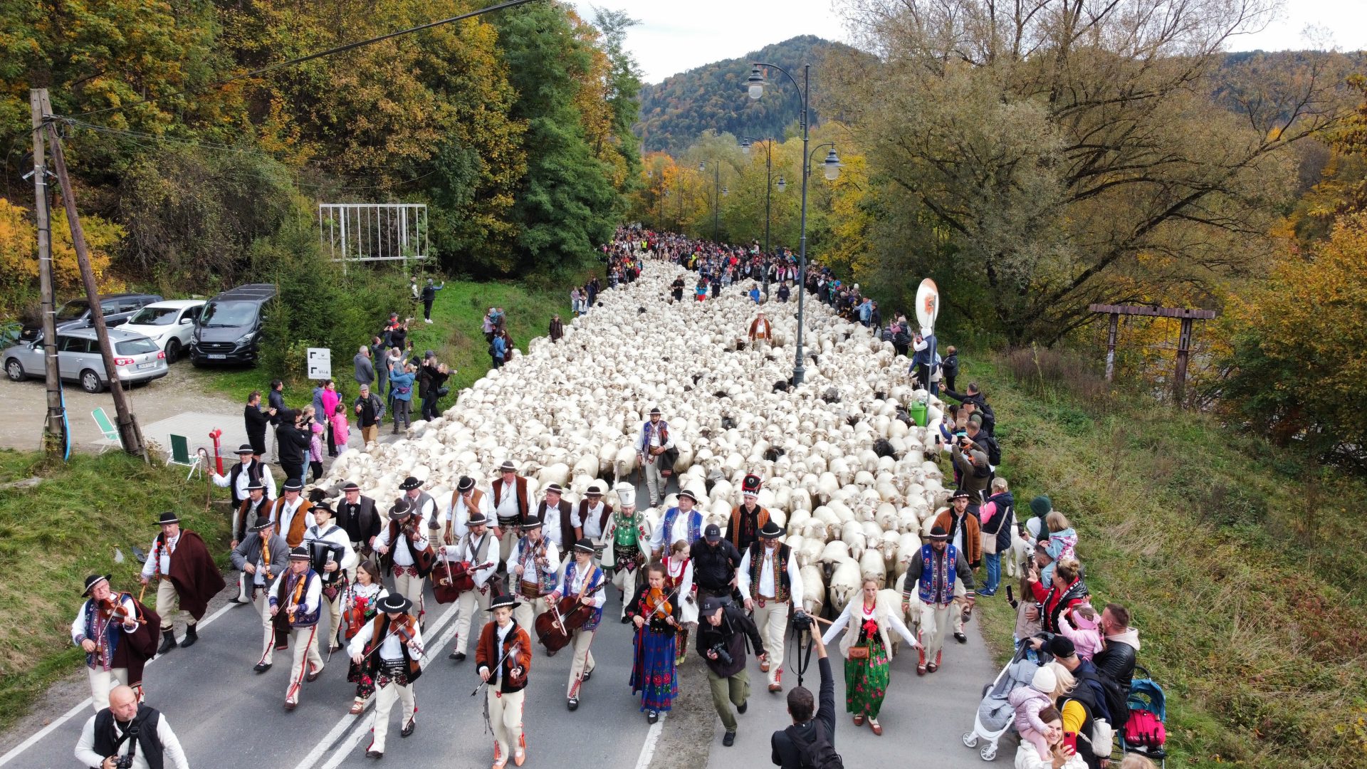 Wiosenny redyk i zagrożenie pryszczycą – apel do rolników