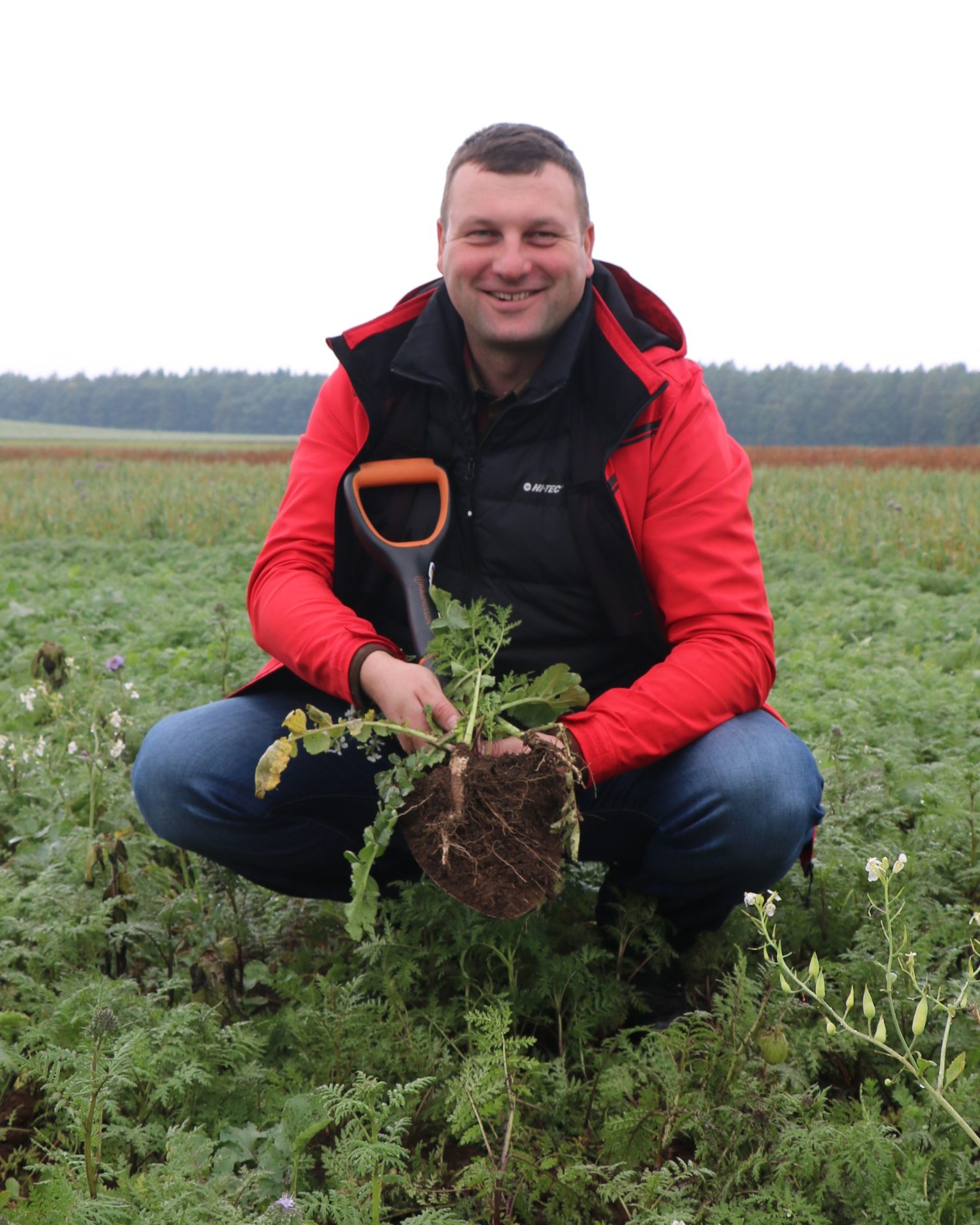 Na międzyplonach można dużo zyskać i zarobić! Tylko jak? Pytamy rolnika z Warmii [REPORTAŻ]