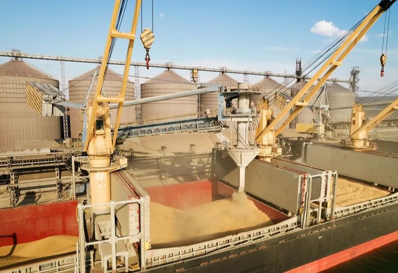 Ukraiński eksport zbóż pod presją logistyki – wpływ na ceny w Polsce i UE