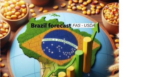 Produkcja zbóż i soi w Brazylii