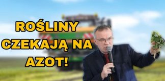 Nawożenie rzepaku