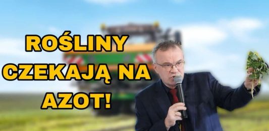 Nawożenie rzepaku