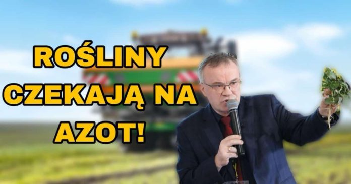 Nawożenie rzepaku