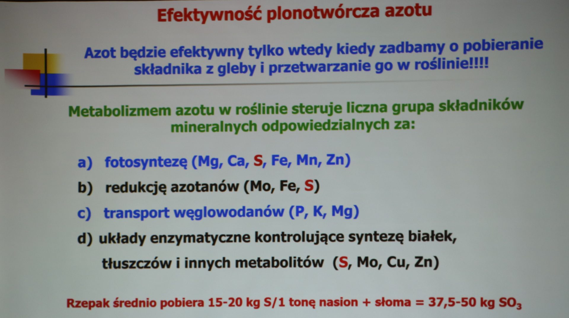 Nawożenie rzepaku ozimego zdaniem prof. Szczepaniaka. Sprawdź jak zebrać 4 t/ha!