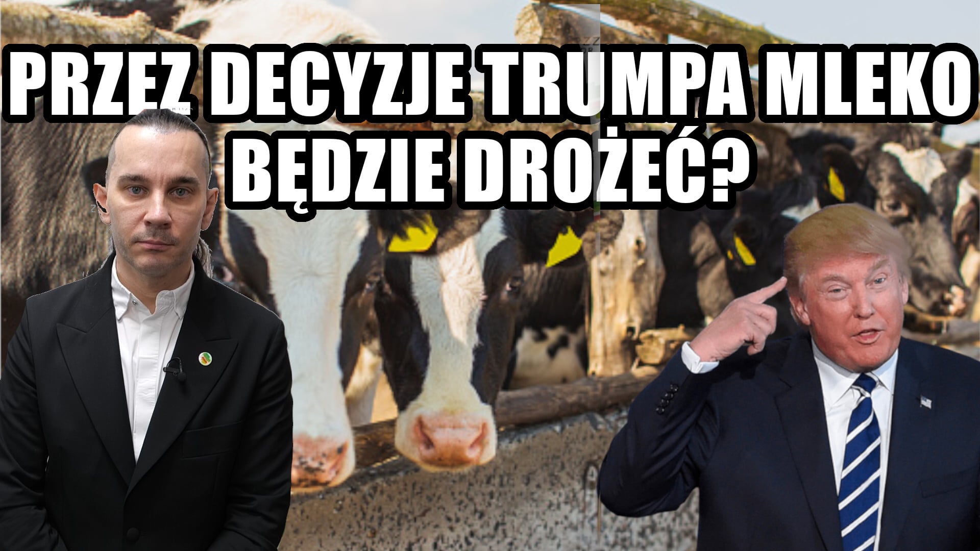 Jaka będzie cena mleka w 2025 roku? Ekspert wyjaśnia potencjalny scenariusz!