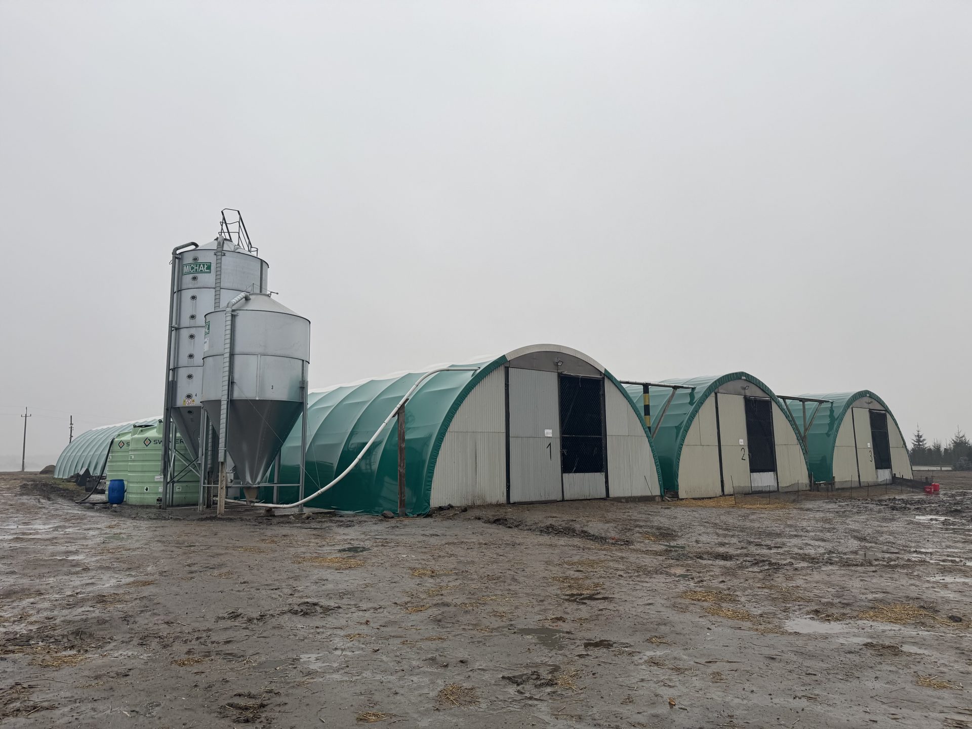 Hodowla kaczek – biznes marzeń czy wyzwanie? Pytamy rolnika utrzymującego 12 tys. sztuk! [REPORTAŻ]