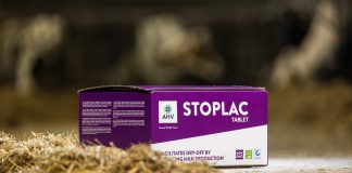 StopLac Tablet