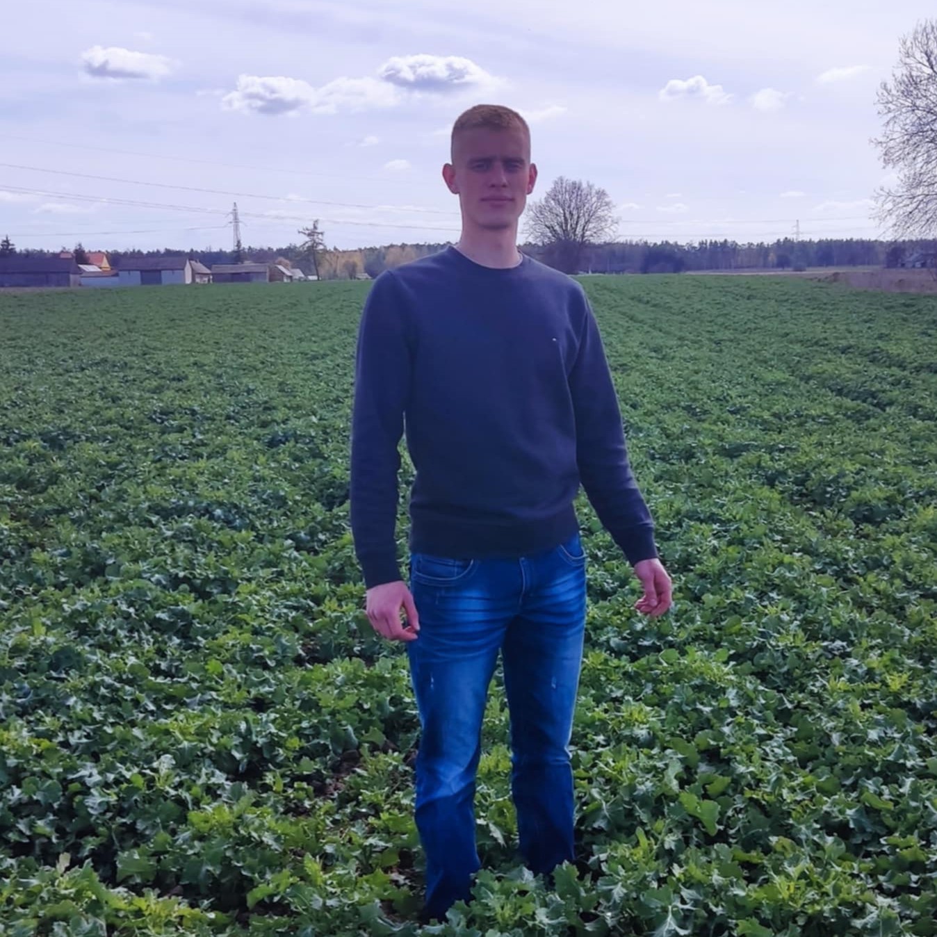 Tłoczony olej rzepakowy – tradycja, smak i zdrowie w jednym [REPORTAŻ]