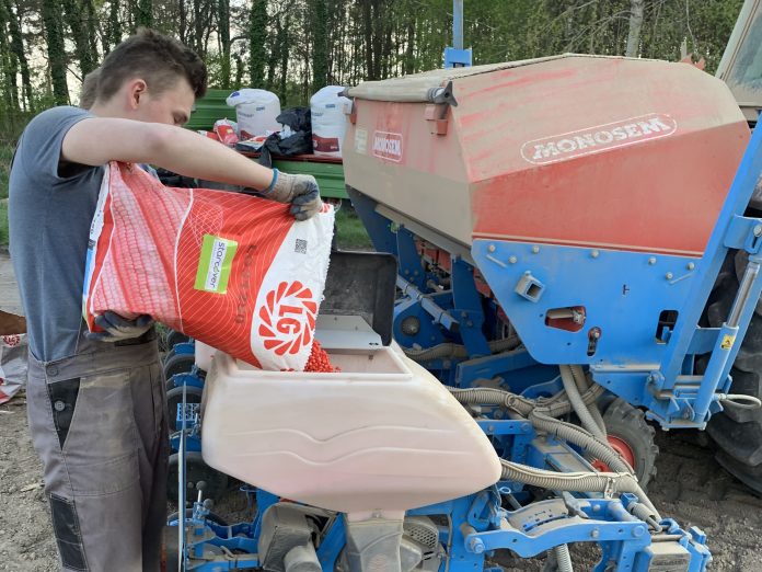 Integrowana produkcja kukurydzy