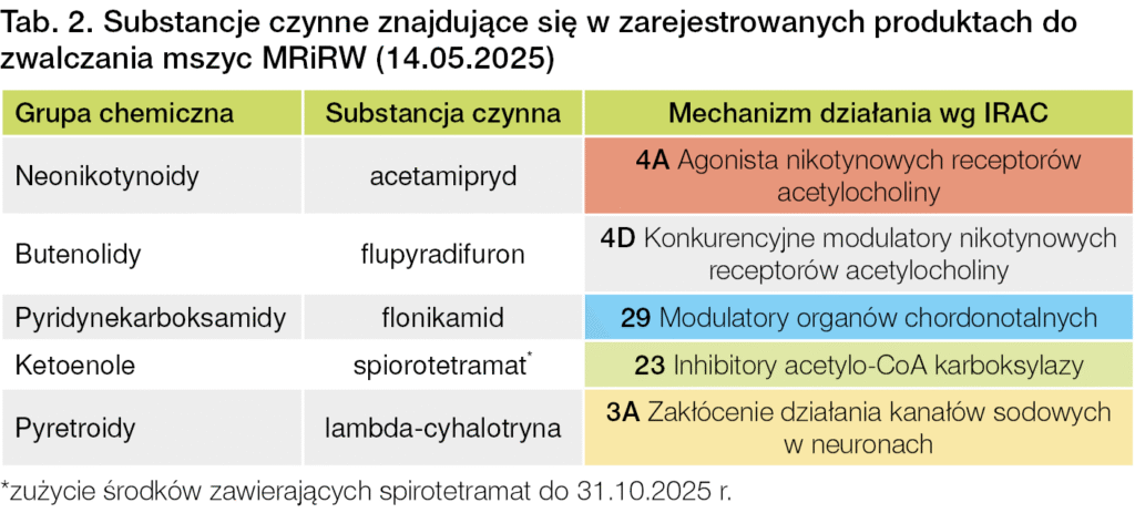 Szkodniki ziemniaków. Jak chronić plantację od stonki, mszyc i nicieni? 10