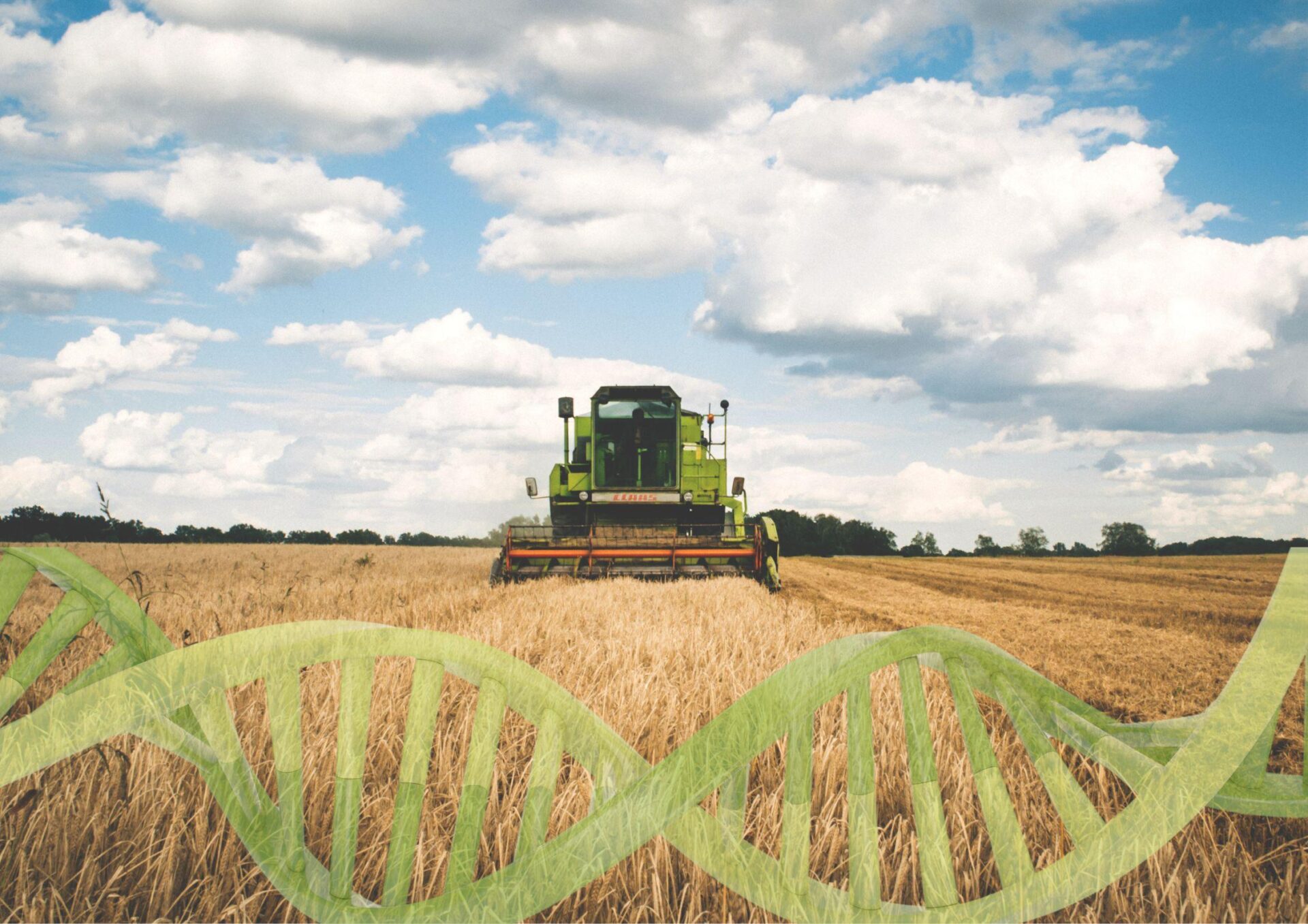 Traktor bez kierownicy, zboże z laboratorium – rolnictwo, jakiego się nie spodziewałeś