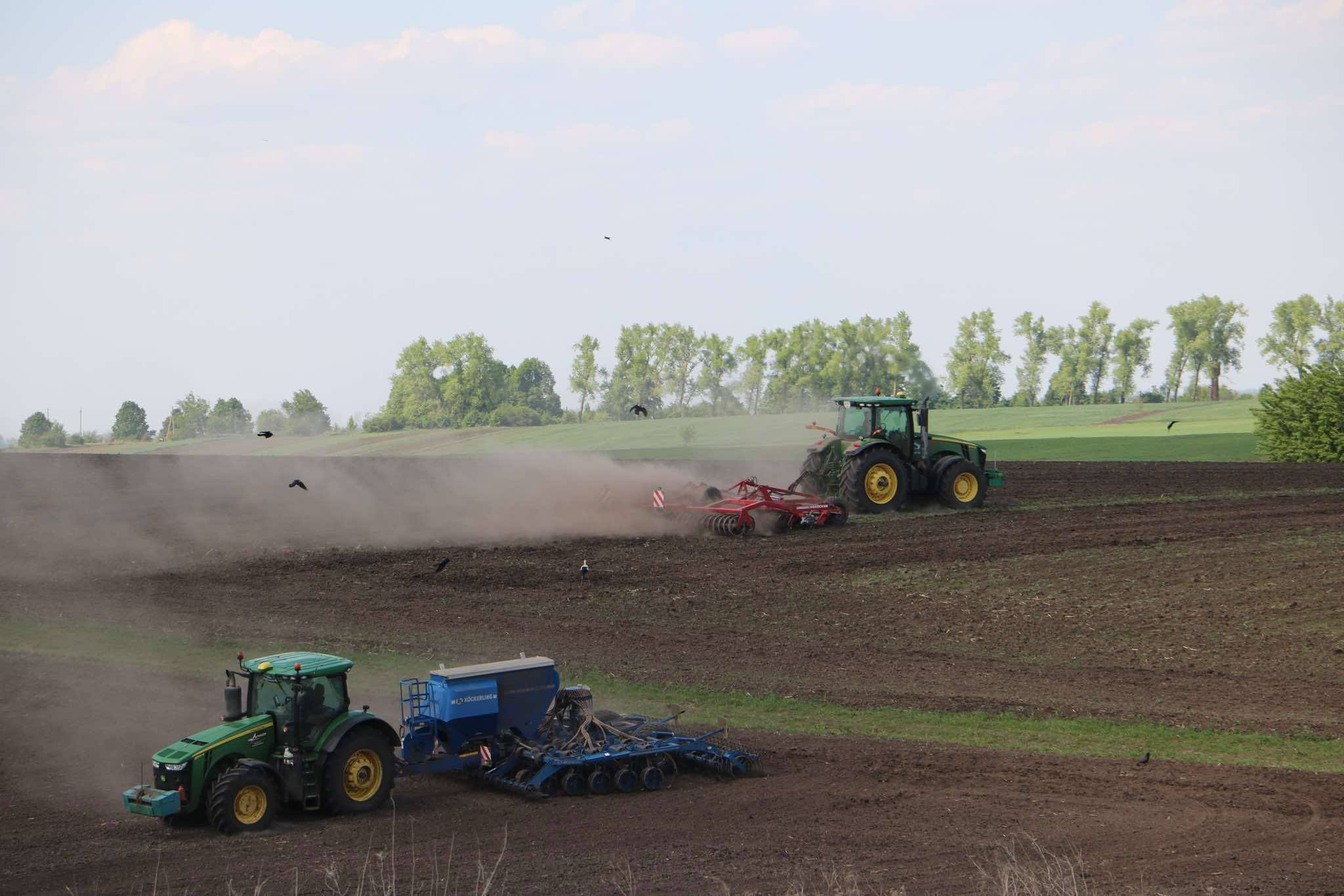 Bezcłowy handel z Ukrainą. Będą mieli dostęp do rynku UE do 2028 roku. Kto zapłaci za tę decyzję?