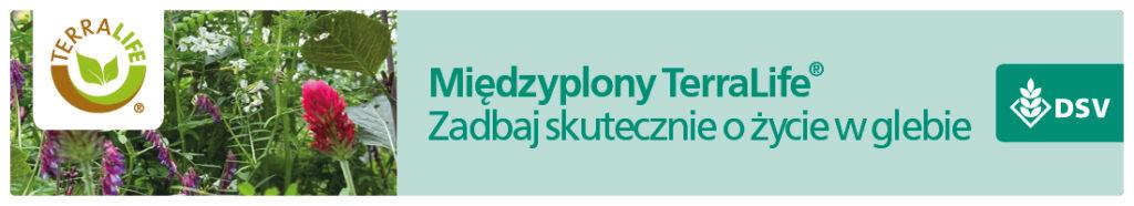 Materia organiczna, substancja organiczna i próchnica glebowa – co jest czym i jaką pełni rolę? 2