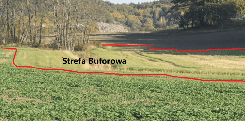Strefa buforowa - czym jest i jak redukować? 1 strefa buforowa