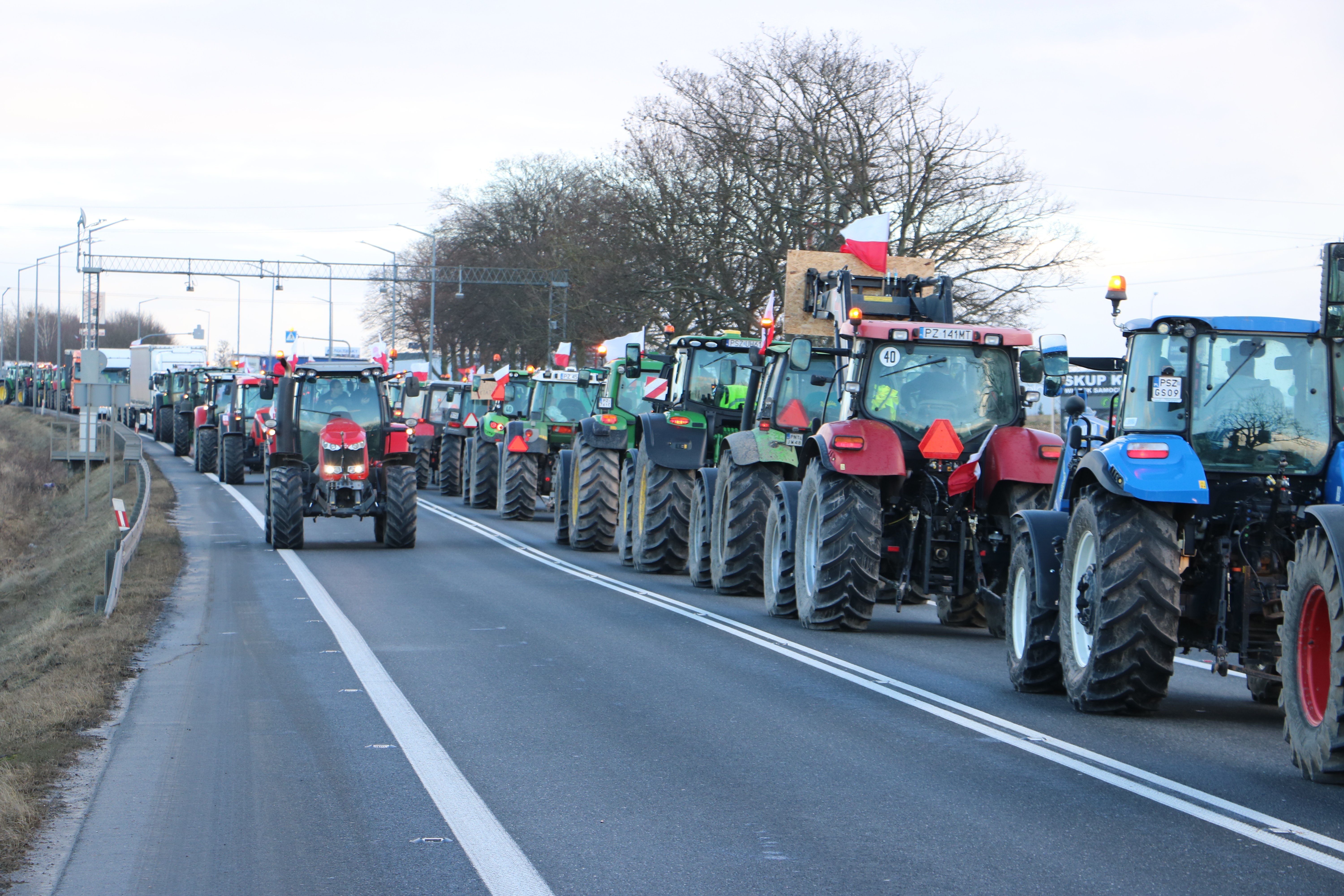 Ekoschematy ziarnem niezgody. Czy rzeczywiście prośrodowiskowe praktyki są złe?